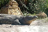 Gatpr;amd Alligator Island