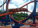 Scorpion - Busch Gardens