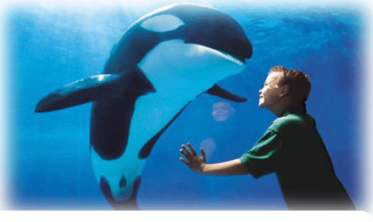 SeaWorld Orlando