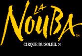 Cirque Du Soleil